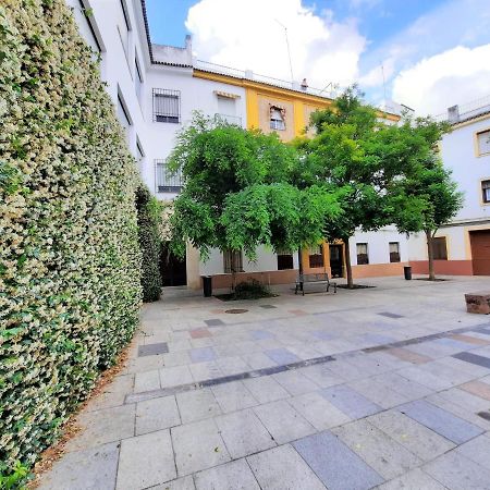 San Pedro Parking Gratis Coche Mediano Apartment Kordoba Bagian luar foto