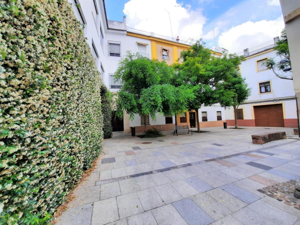 San Pedro Parking Gratis Coche Mediano Apartment Kordoba Bagian luar foto